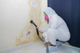 Best Post-Construction Mold Inspection  in Plano, IL